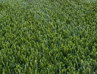 artificial turf product category