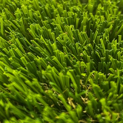 Verde Valley Cottonwood™ - Image 7