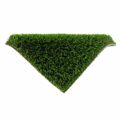 Verde Valley Cottonwood™ - Image 3