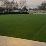 New Prescott 88 Turf from Verde Valley Turf